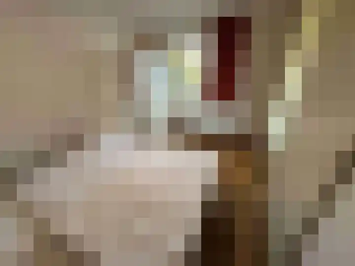 Droge Wijmersweg 5 140 Wervershoof thumbnail 22