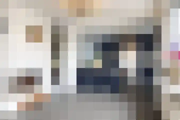 Droge Wijmersweg 5 155 Wervershoof thumbnail 12
