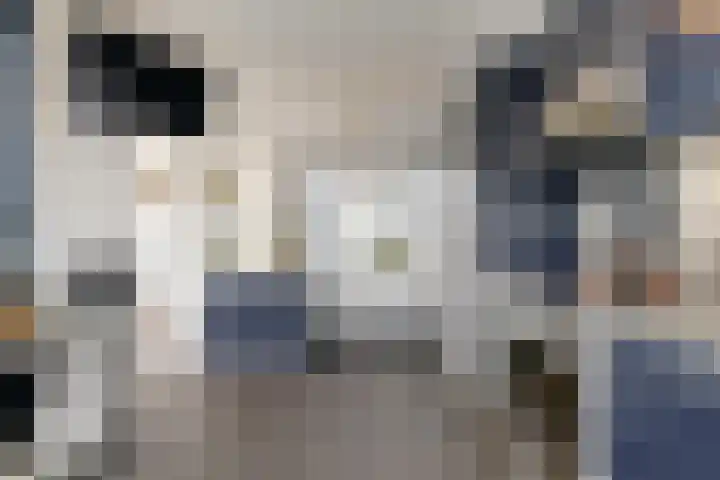 Droge Wijmersweg 5 155 Wervershoof thumbnail 15