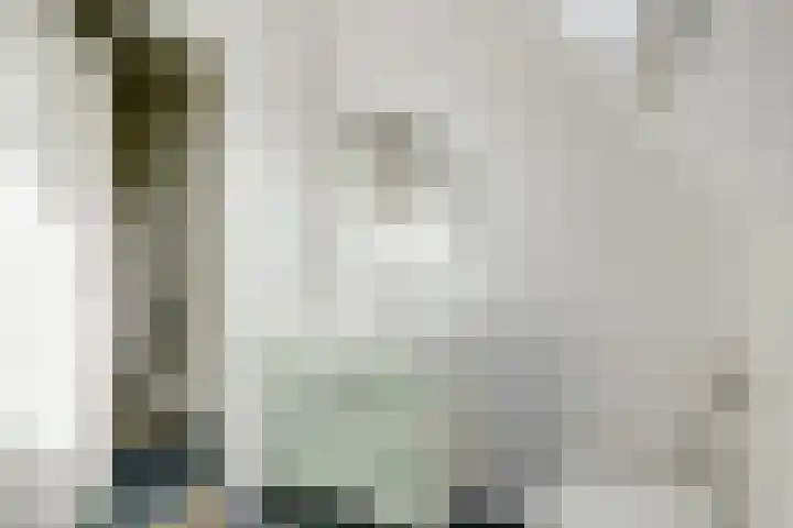 Droge Wijmersweg 5 160 Wervershoof thumbnail 20