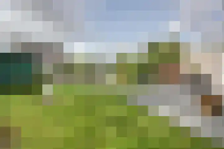 Droge Wijmersweg 5 160 Wervershoof thumbnail 23