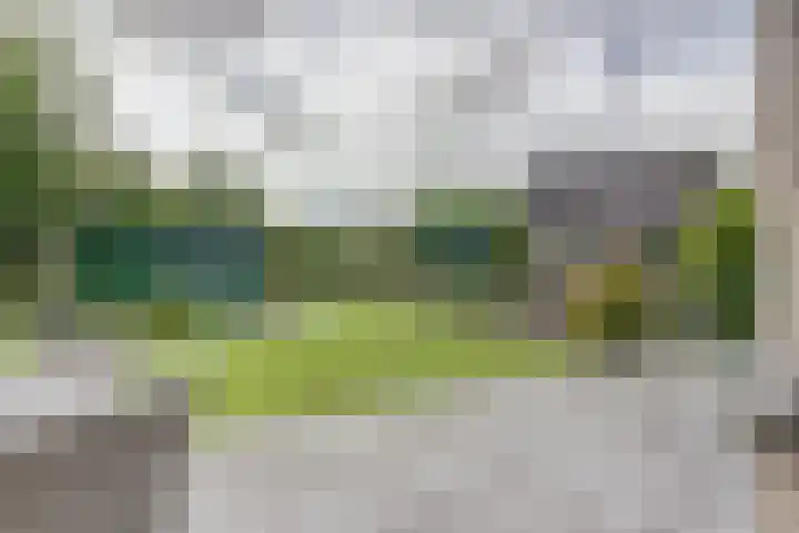 Droge Wijmersweg 5 160 Wervershoof thumbnail 24