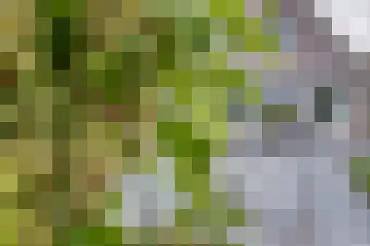 Droge Wijmersweg 5 160 Wervershoof thumbnail 26