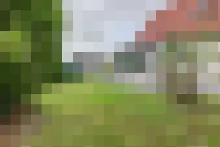 Droge Wijmersweg 5 160 Wervershoof thumbnail 27