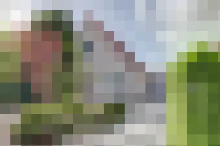 Droge Wijmersweg 5 160 Wervershoof thumbnail 30