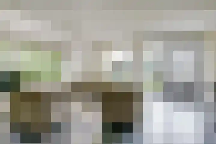 Droge Wijmersweg 5 160 Wervershoof thumbnail 5