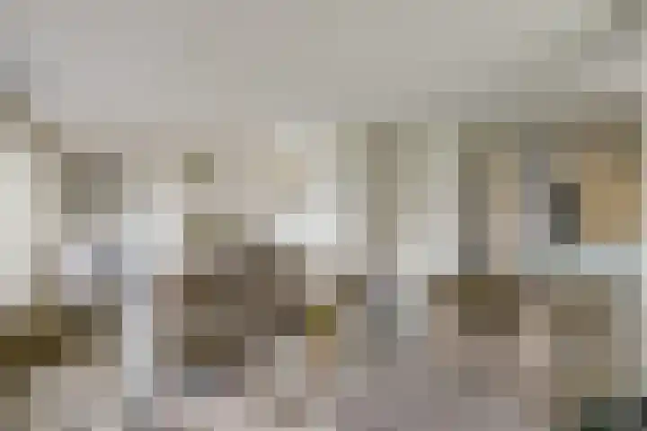 Droge Wijmersweg 5 160 Wervershoof thumbnail 6