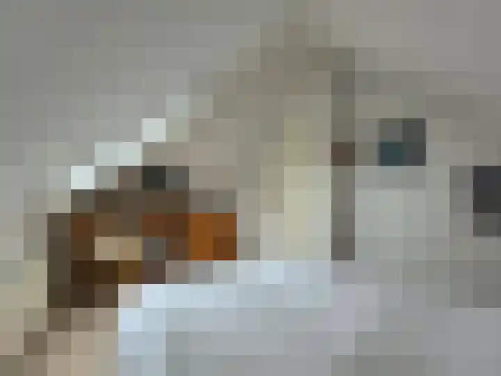 Droge Wijmersweg 5 172 Wervershoof thumbnail 13