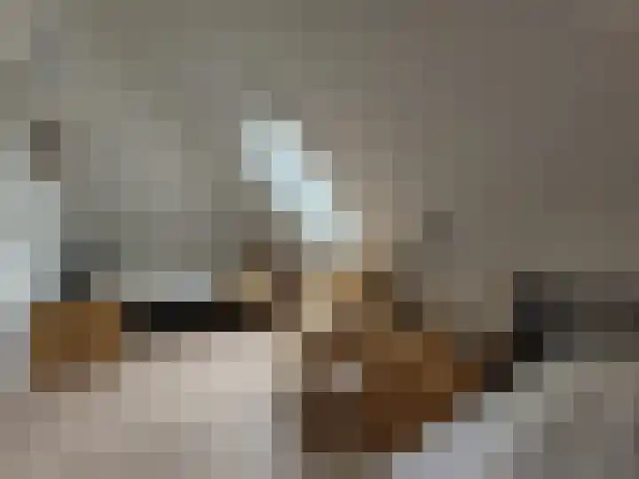 Droge Wijmersweg 5 172 Wervershoof thumbnail 14