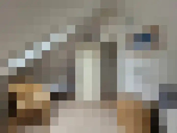 Droge Wijmersweg 5 172 Wervershoof thumbnail 15