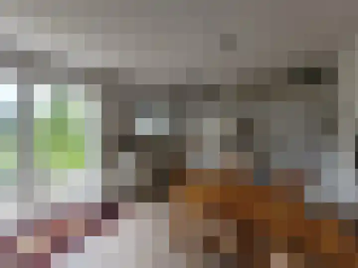 Droge Wijmersweg 5 172 Wervershoof thumbnail 6
