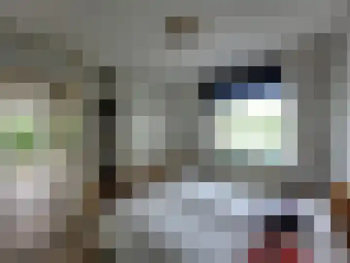 Droge Wijmersweg 5 172 Wervershoof thumbnail 7