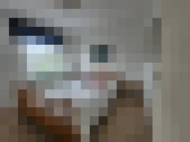 Droge Wijmersweg 5 172 Wervershoof thumbnail 8