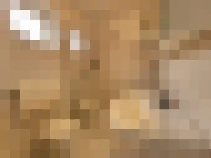 Droge Wijmersweg 5 172 Wervershoof thumbnail 9