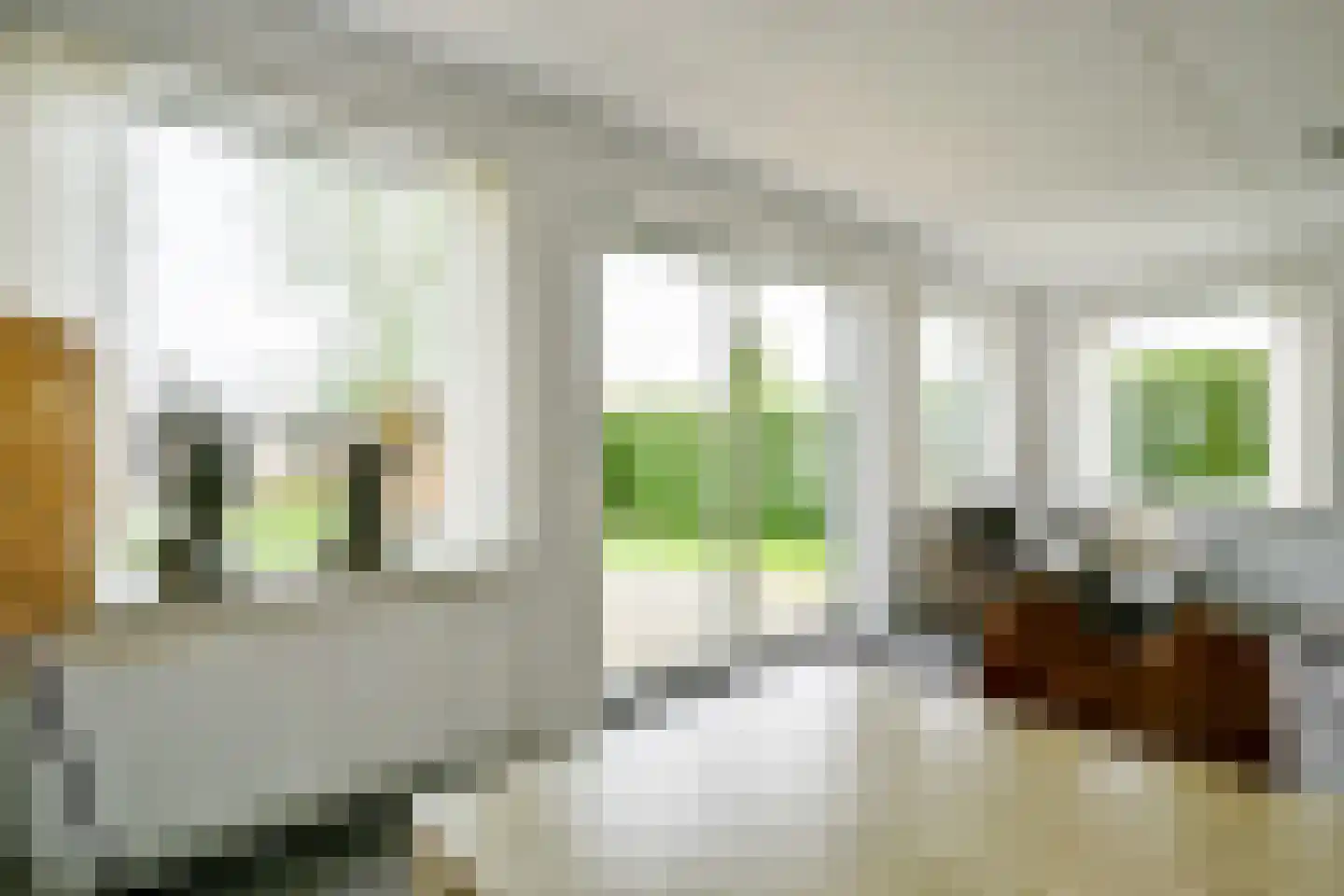 Droge Wijmersweg 5 173 Wervershoof thumbnail 15