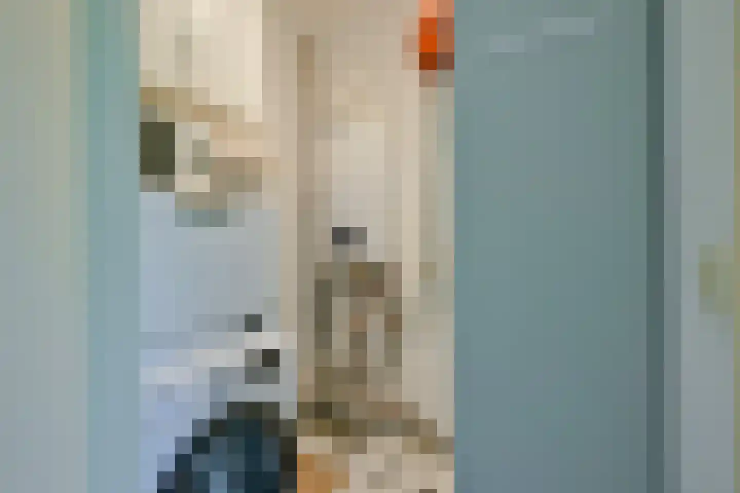 Droge Wijmersweg 5 179 Wervershoof thumbnail 19