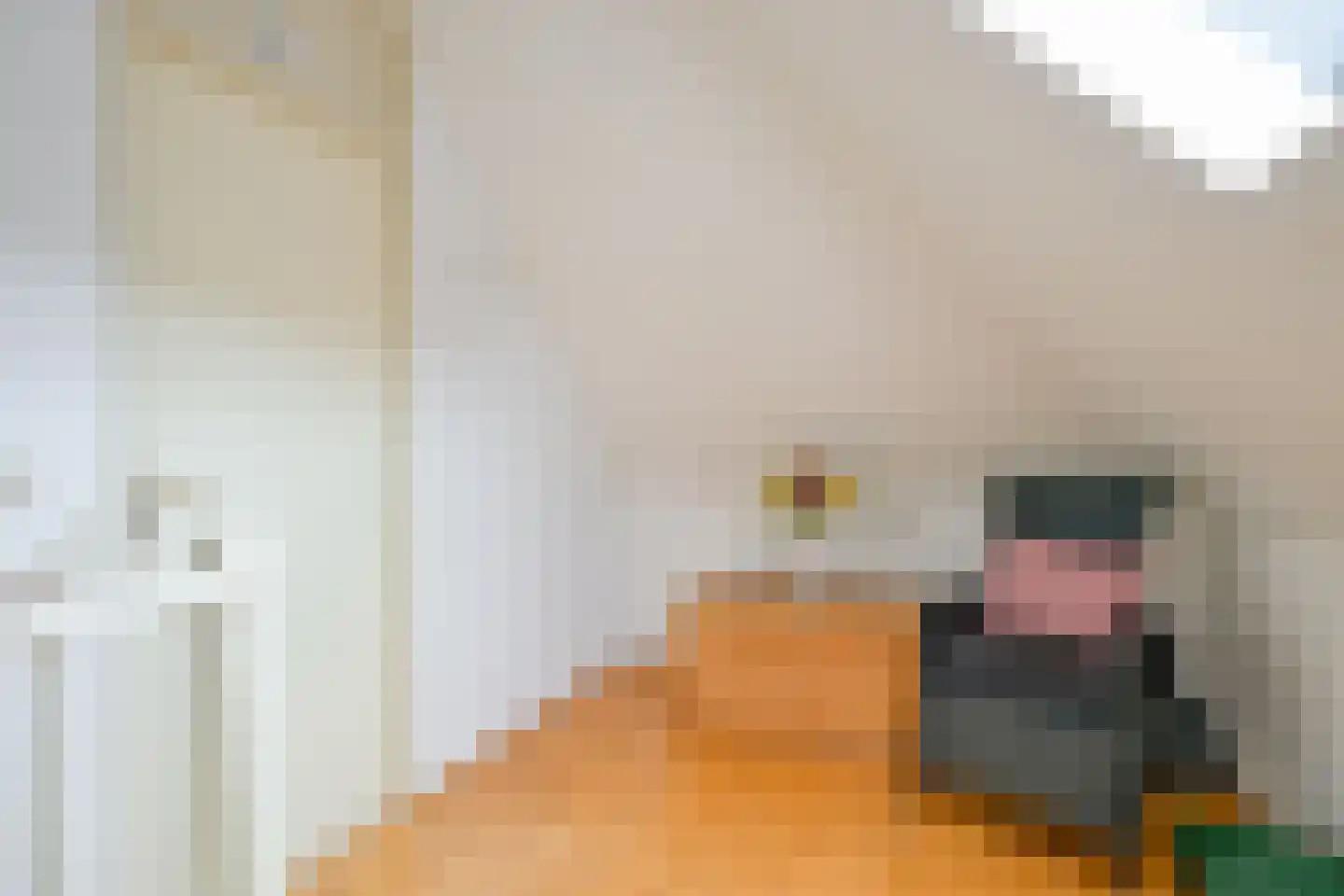 Droge Wijmersweg 5 179 Wervershoof thumbnail 20