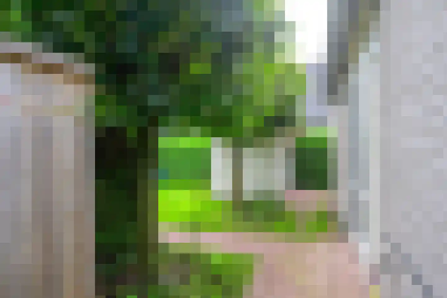 Droge Wijmersweg 5 179 Wervershoof thumbnail 32