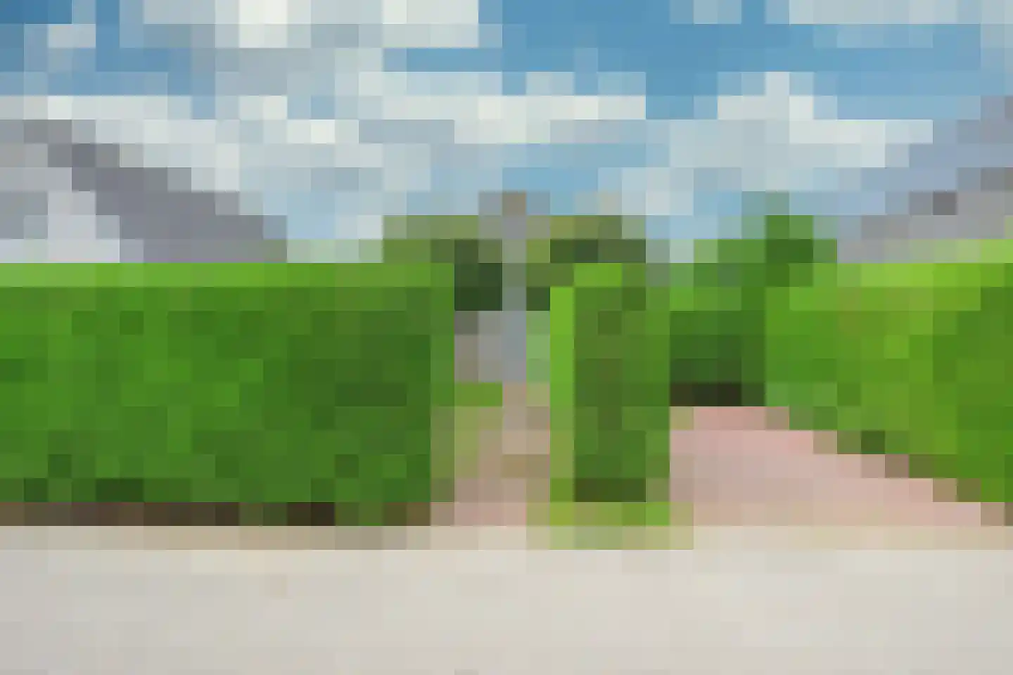 Droge Wijmersweg 5 179 Wervershoof thumbnail 36