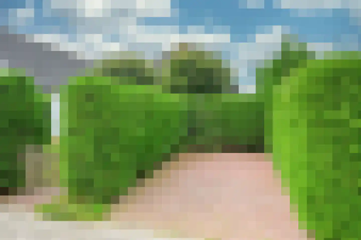 Droge Wijmersweg 5 179 Wervershoof thumbnail 37