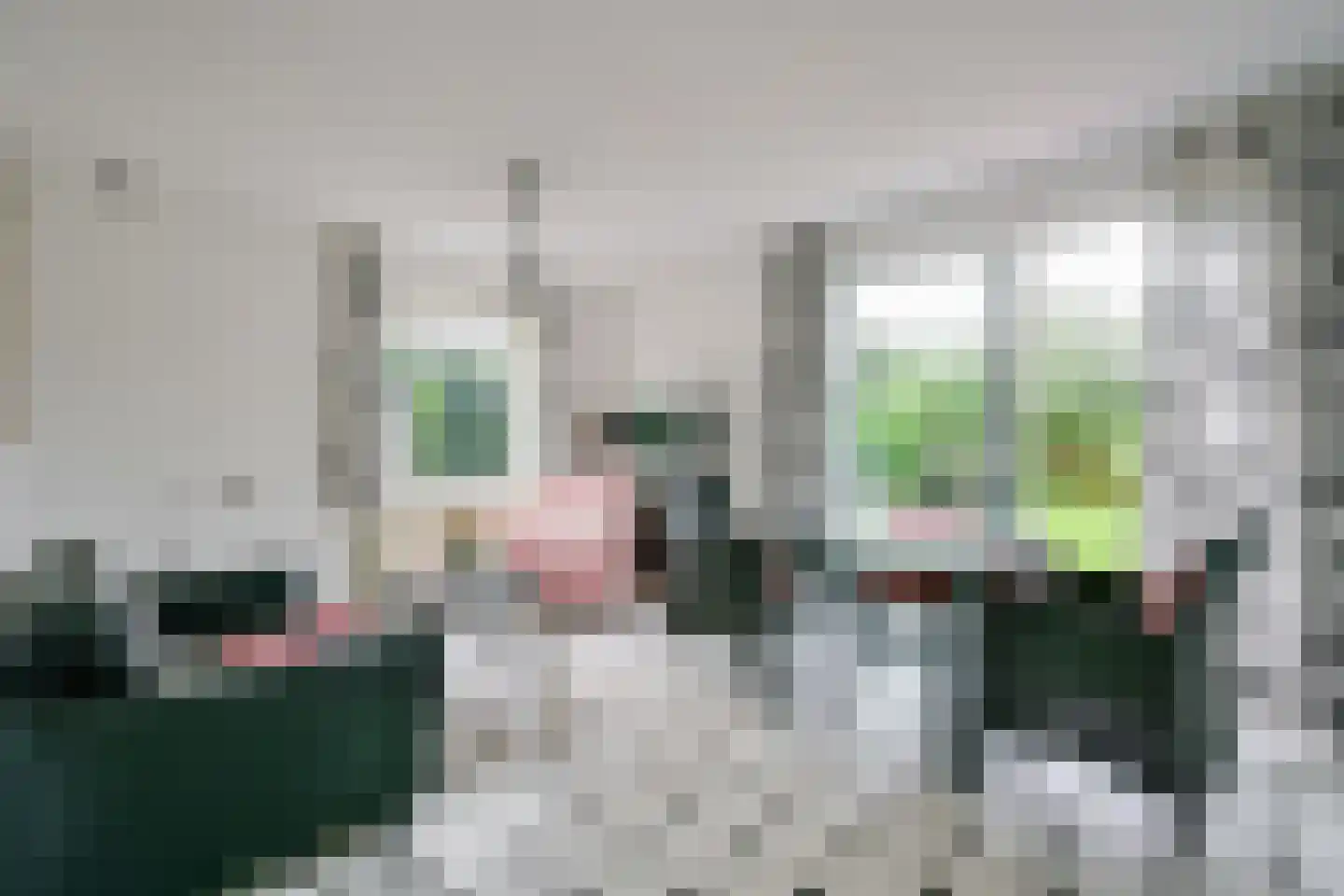 Droge Wijmersweg 5 179 Wervershoof thumbnail 5