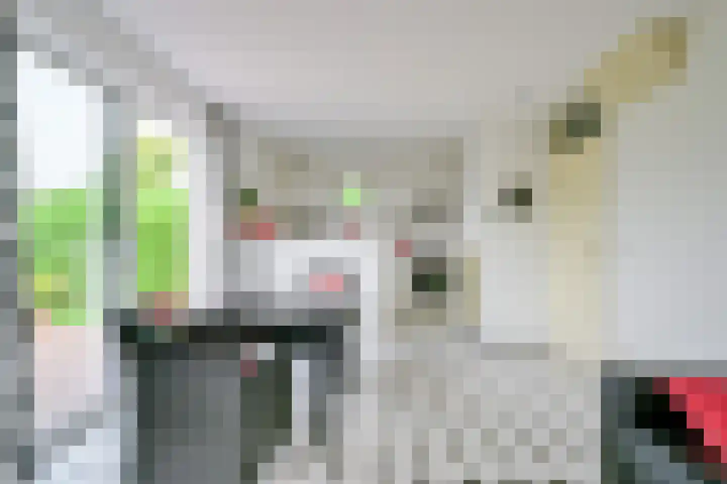 Droge Wijmersweg 5 179 Wervershoof thumbnail 6