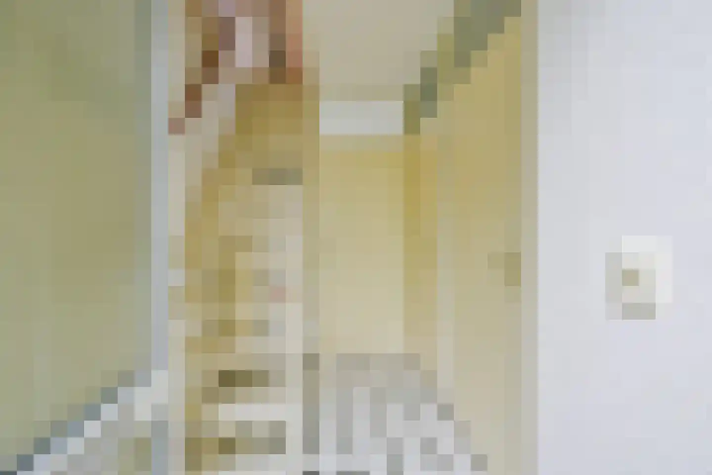 Droge Wijmersweg 5 179 Wervershoof thumbnail 7