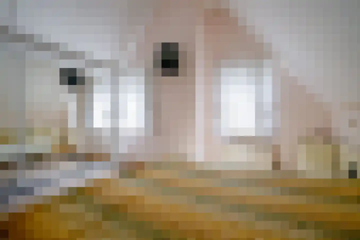 Droge Wijmersweg 5 216 Wervershoof thumbnail 24