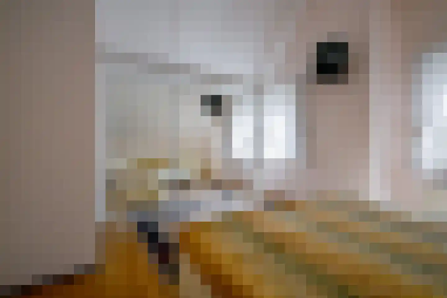 Droge Wijmersweg 5 216 Wervershoof thumbnail 25