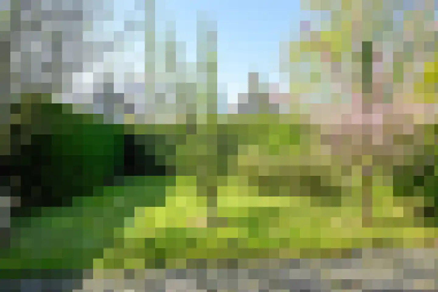 Droge Wijmersweg 5 216 Wervershoof thumbnail 39