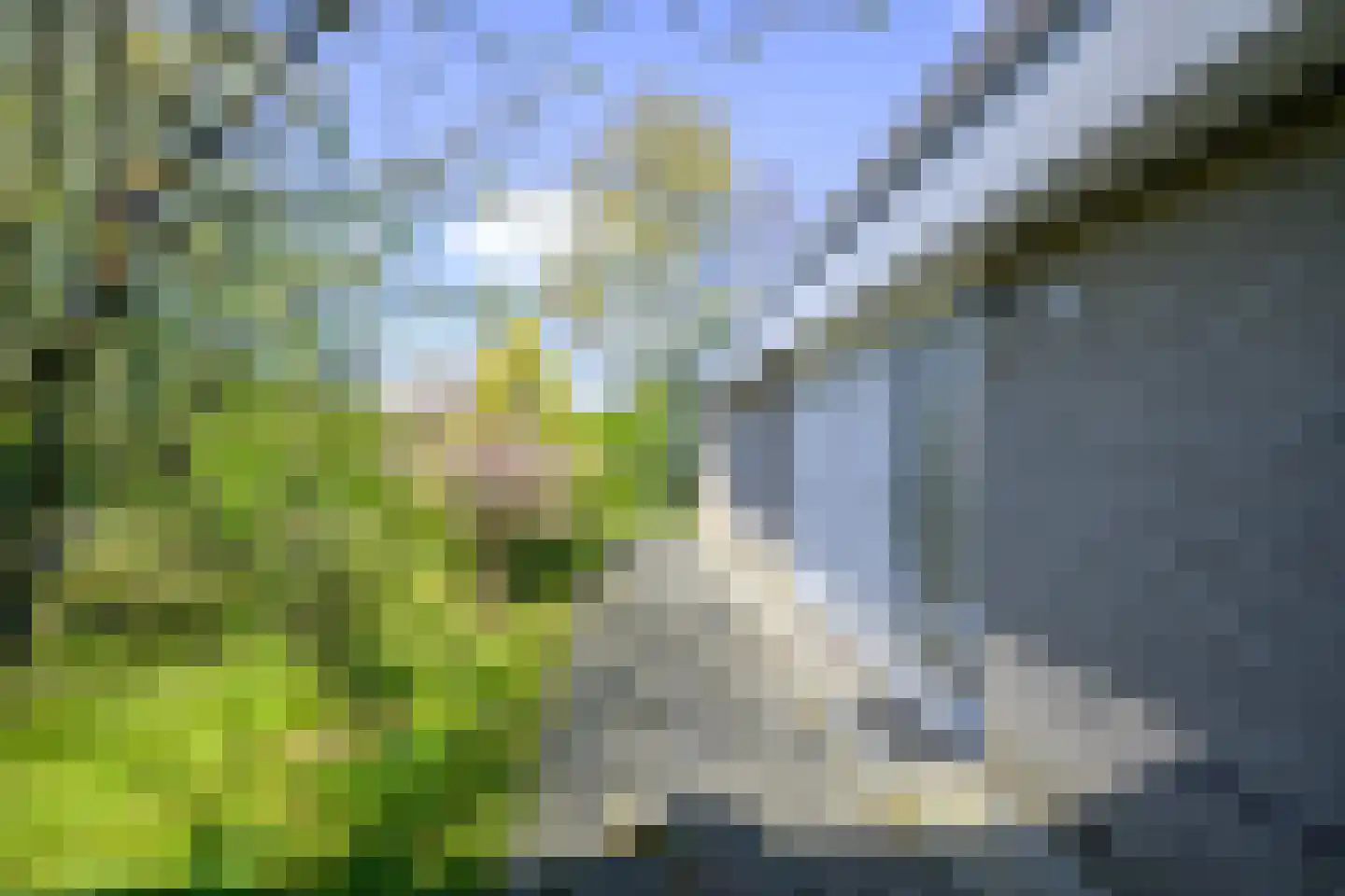 Droge Wijmersweg 5 216 Wervershoof thumbnail 40