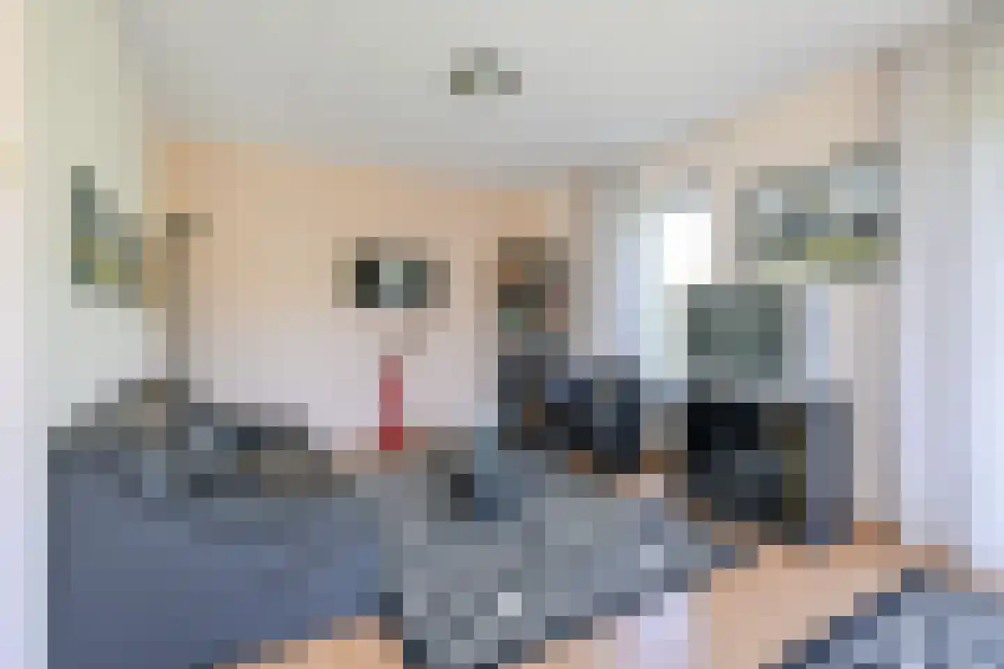 Droge Wijmersweg 5 216 Wervershoof thumbnail 7