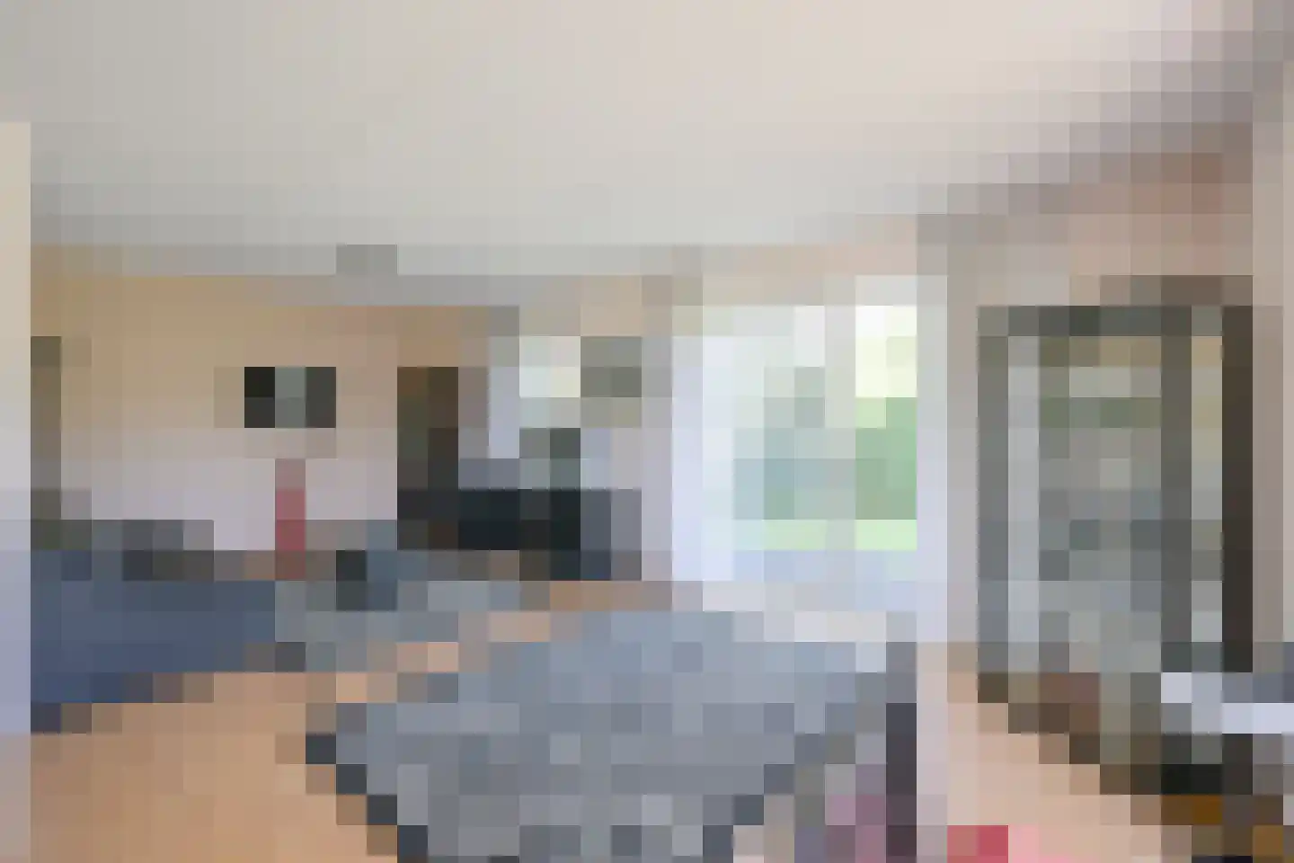 Droge Wijmersweg 5 216 Wervershoof thumbnail 8