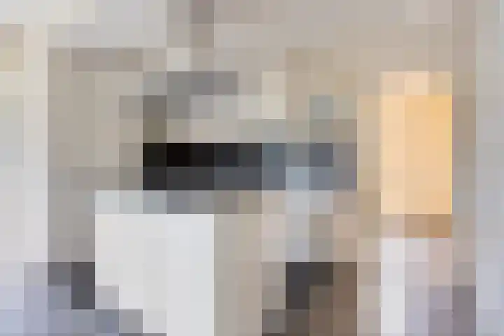 Droge Wijmersweg 5 218 Wervershoof thumbnail 17