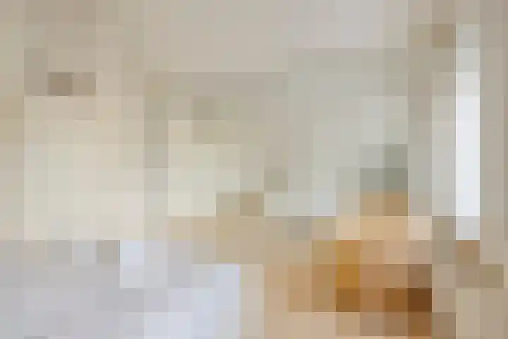 Droge Wijmersweg 5 218 Wervershoof thumbnail 21