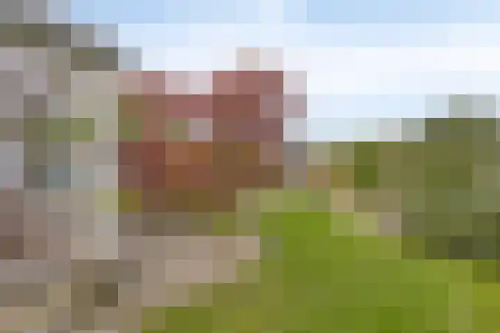 Droge Wijmersweg 5 218 Wervershoof thumbnail 28