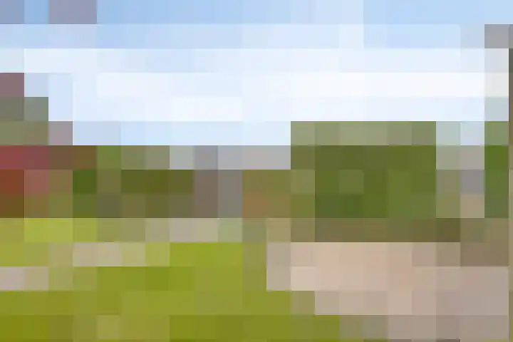 Droge Wijmersweg 5 218 Wervershoof thumbnail 31