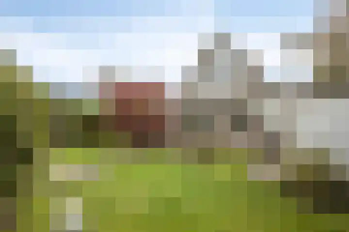 Droge Wijmersweg 5 218 Wervershoof thumbnail 32