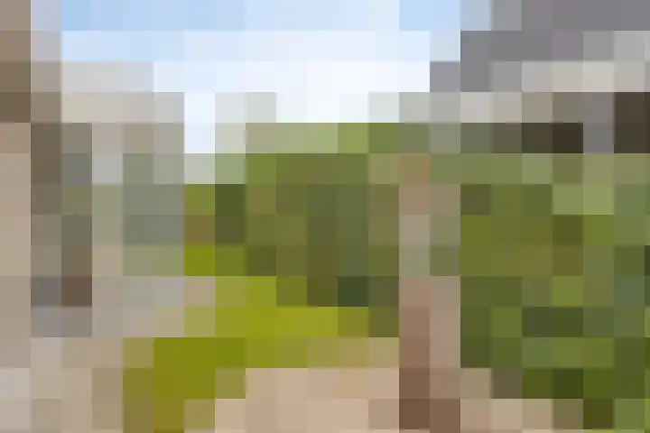 Droge Wijmersweg 5 218 Wervershoof thumbnail 33