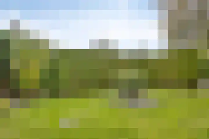 Droge Wijmersweg 5 218 Wervershoof thumbnail 34