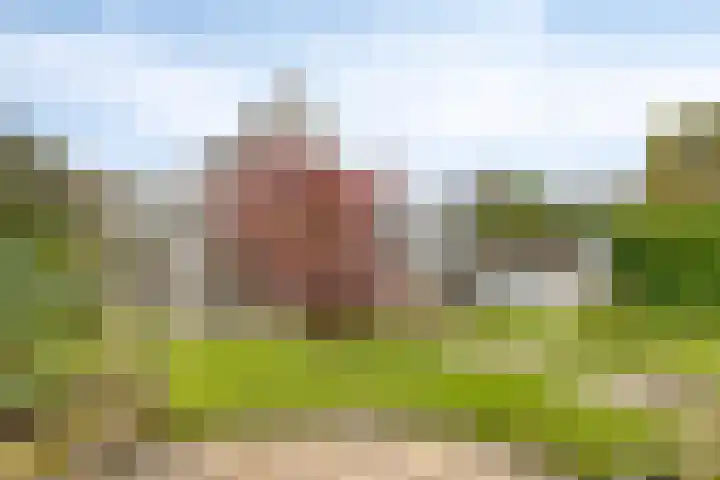Droge Wijmersweg 5 218 Wervershoof thumbnail 35
