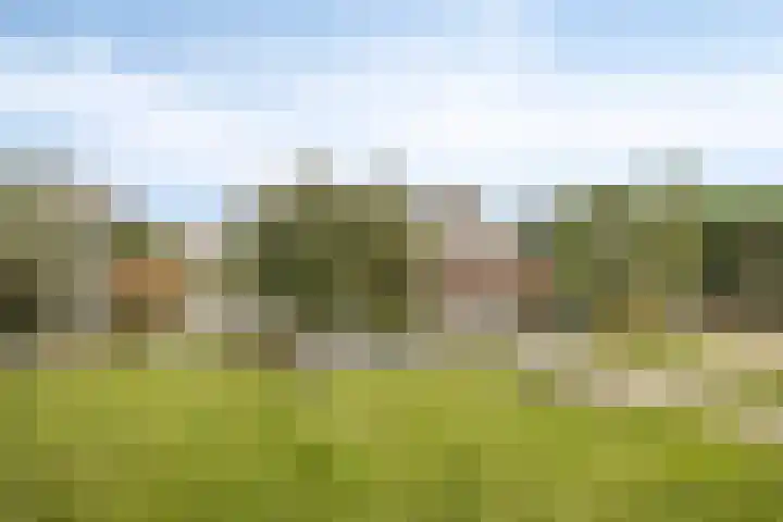 Droge Wijmersweg 5 218 Wervershoof thumbnail 4