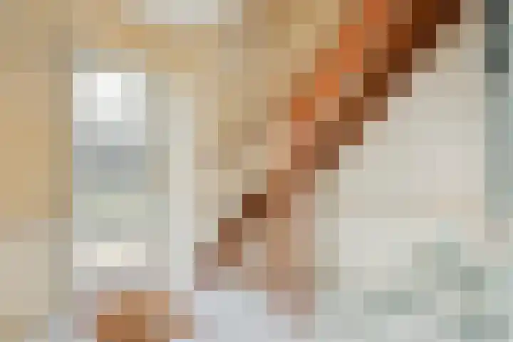 Droge Wijmersweg 5 218 Wervershoof thumbnail 7