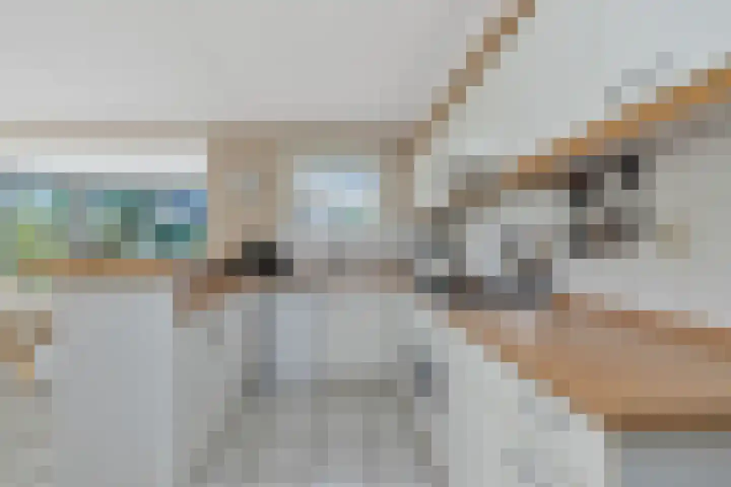 Droge Wijmersweg 5 225 Wervershoof thumbnail 7