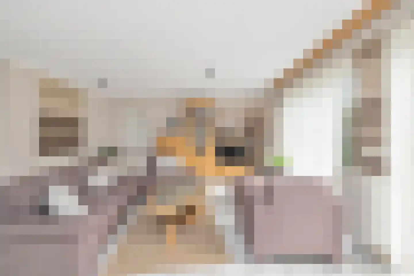 Droge Wijmersweg 5 225 Wervershoof thumbnail 9