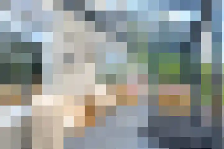 Droge Wijmersweg 5 229 Wervershoof thumbnail 22