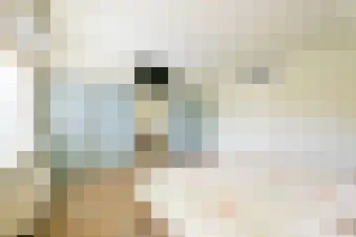 Droge Wijmersweg 5 229 Wervershoof thumbnail 27