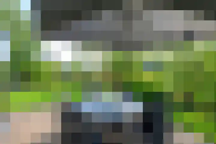 Droge Wijmersweg 5 229 Wervershoof thumbnail 33