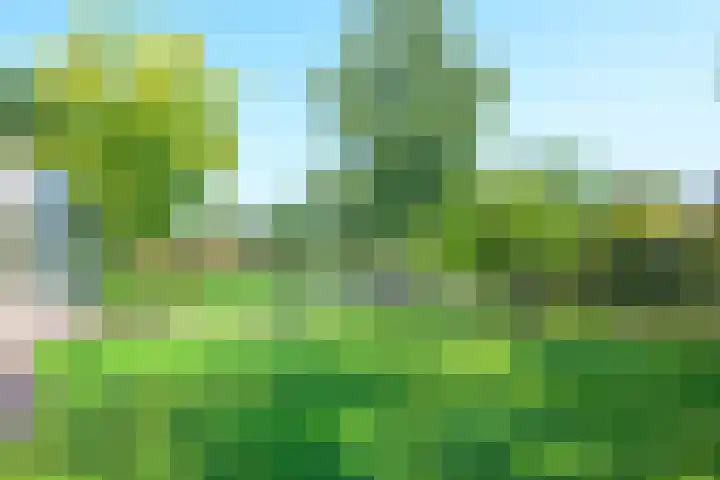 Droge Wijmersweg 5 229 Wervershoof thumbnail 35