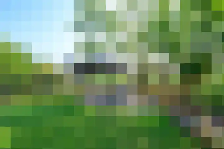 Droge Wijmersweg 5 229 Wervershoof thumbnail 36